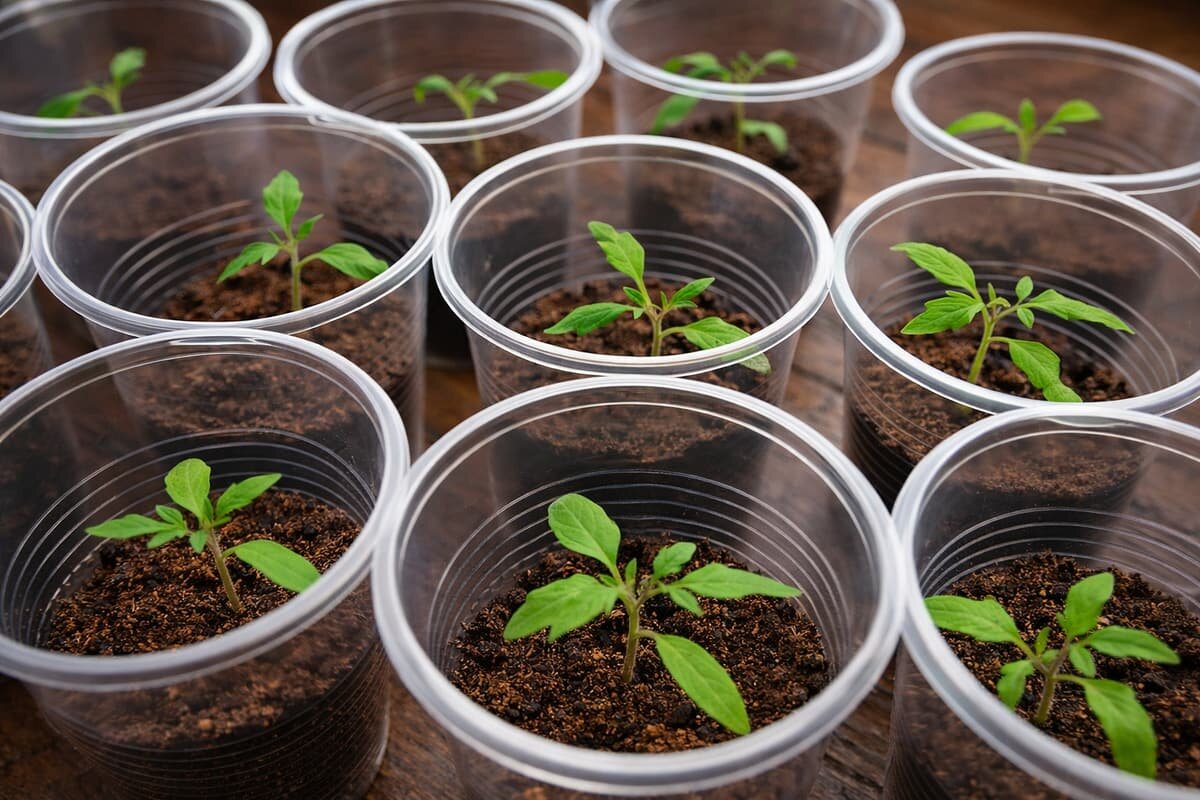 Фото @outsidecity