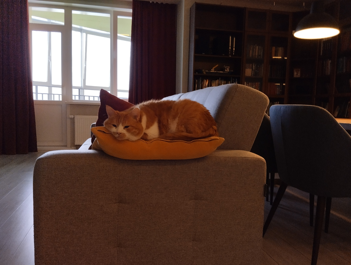 У тебя весеннее обострение? Или таблетки закончились? 