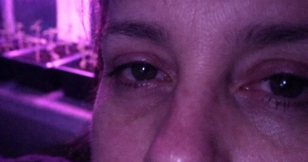 ‍Почему вы не можете уснуть, досвечивая рассаду в спальне