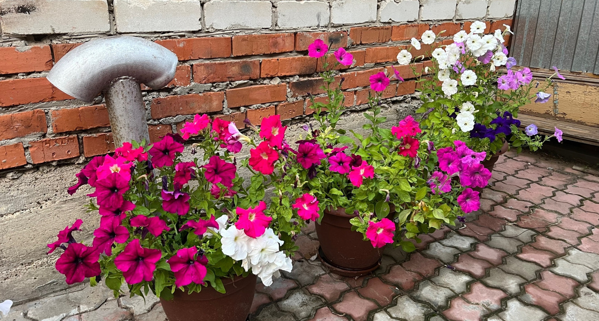    Фото: ПроГород