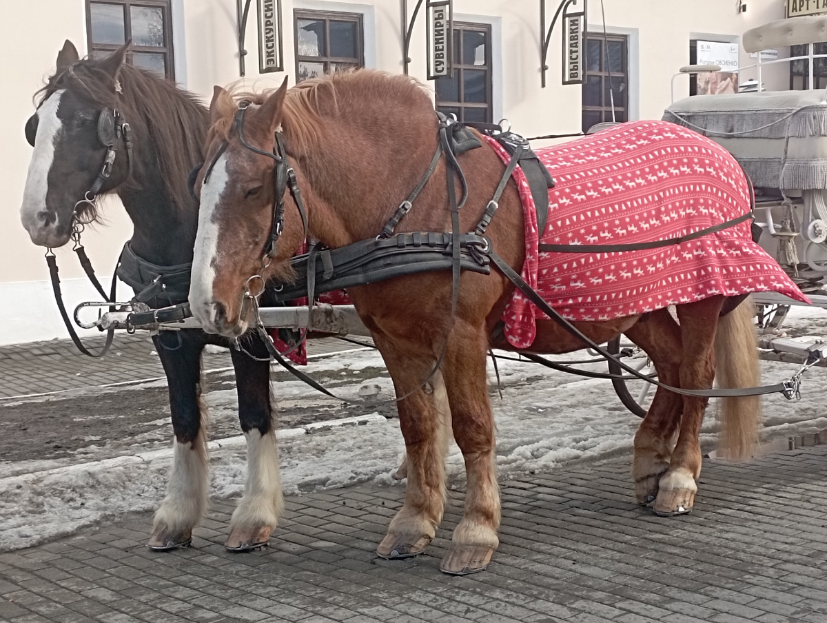 Это дорогое удовольствие. 1000 рублей - за взрослого, 800 рублей - за ребёнка. 