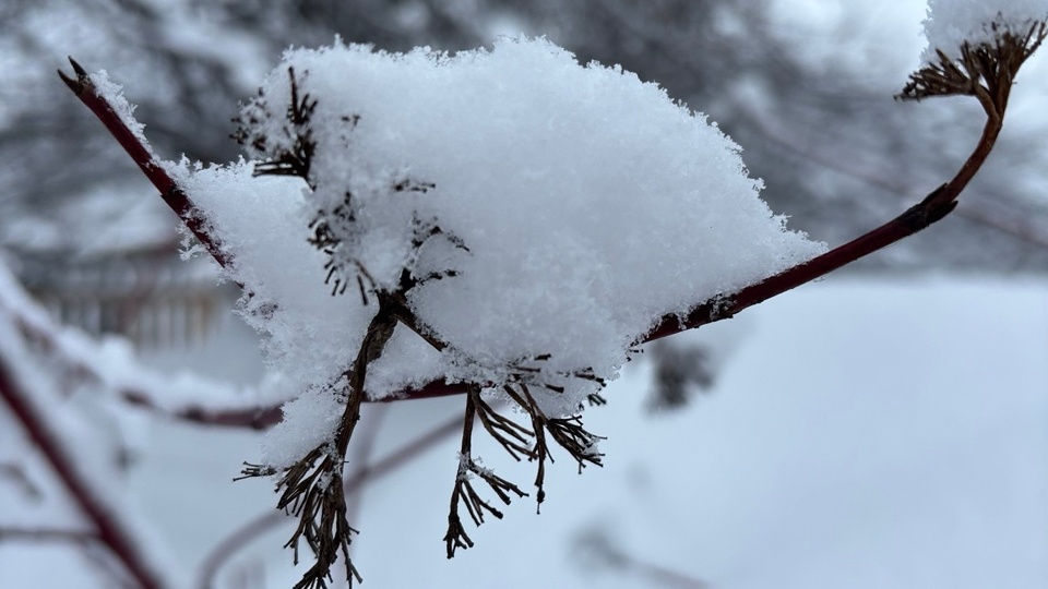 9 марта - последний день зимы