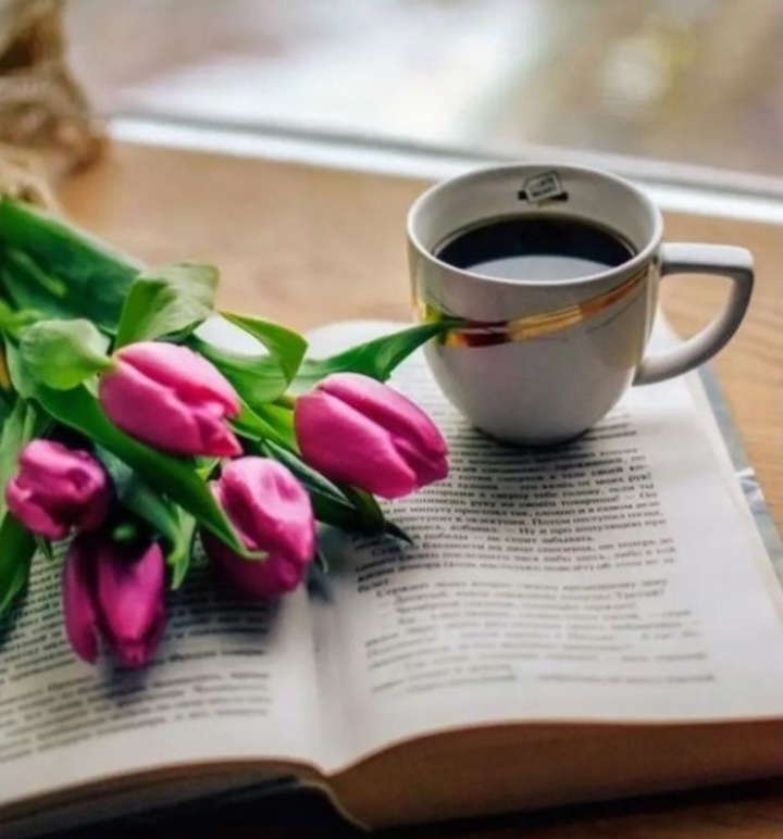 фото из общедоступных источников 