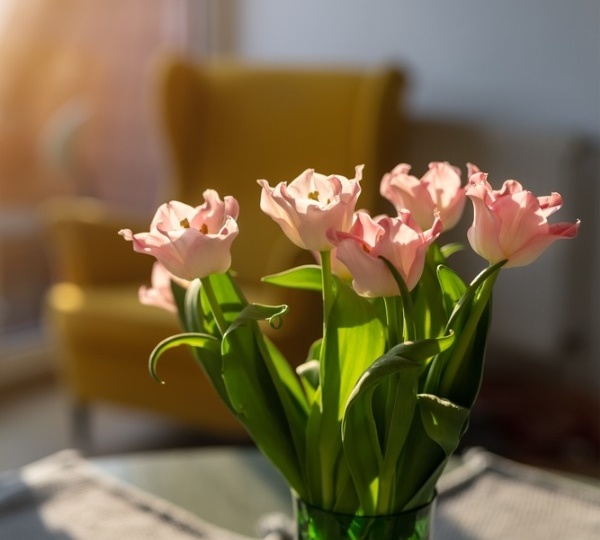 Всё начинает проясняться: гороскоп на неделю с 9 по 15 марта