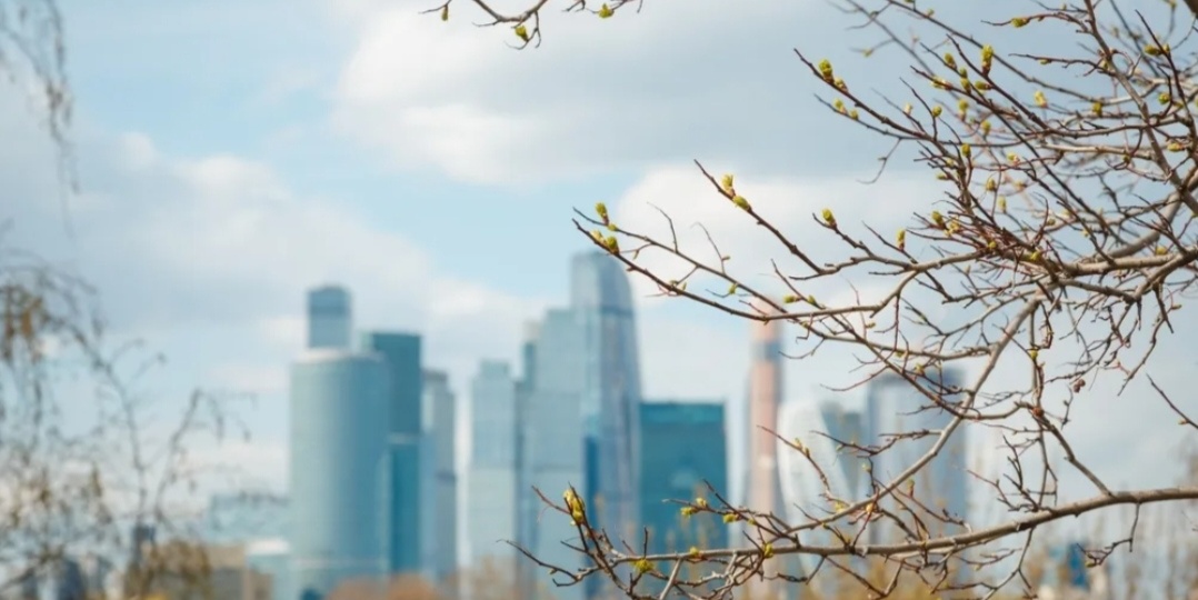 Настоящая весна придёт в Москву уже в среду — будет до +10℃