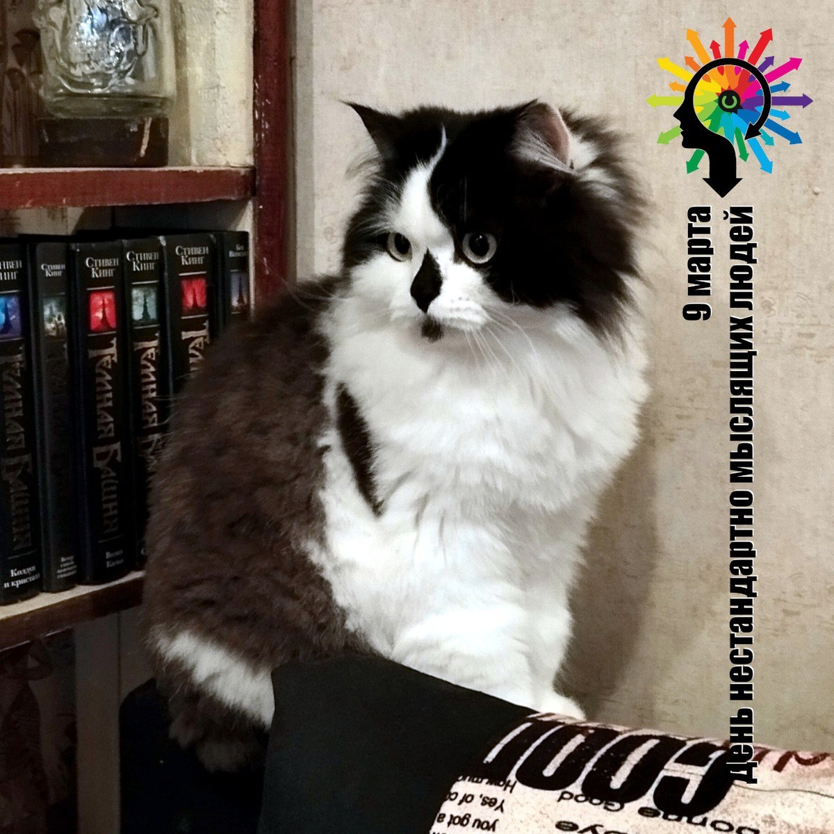 🐾 Комментарий Котейки По Имени Роршах: