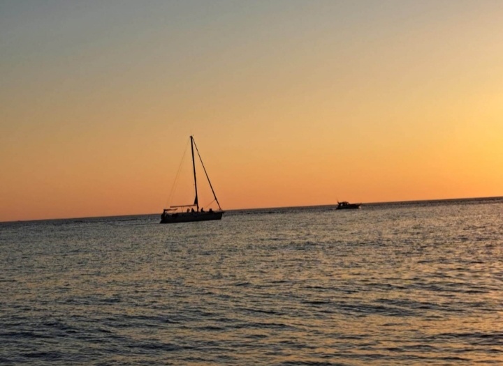 Фото автора. Сочи 2025