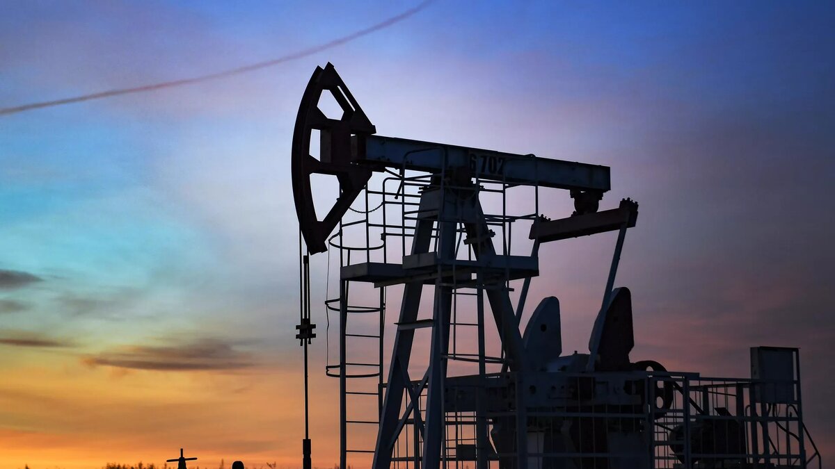 © Sputnik / Максим Богодвид