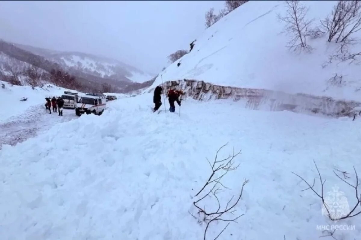    Лавина сошла на трассу в Петропавловске-Камчатском