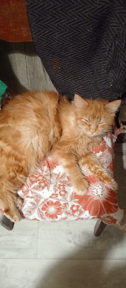 Тепло, хорошо