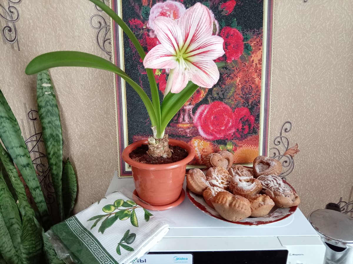 Подарок 🎁от соседки. 