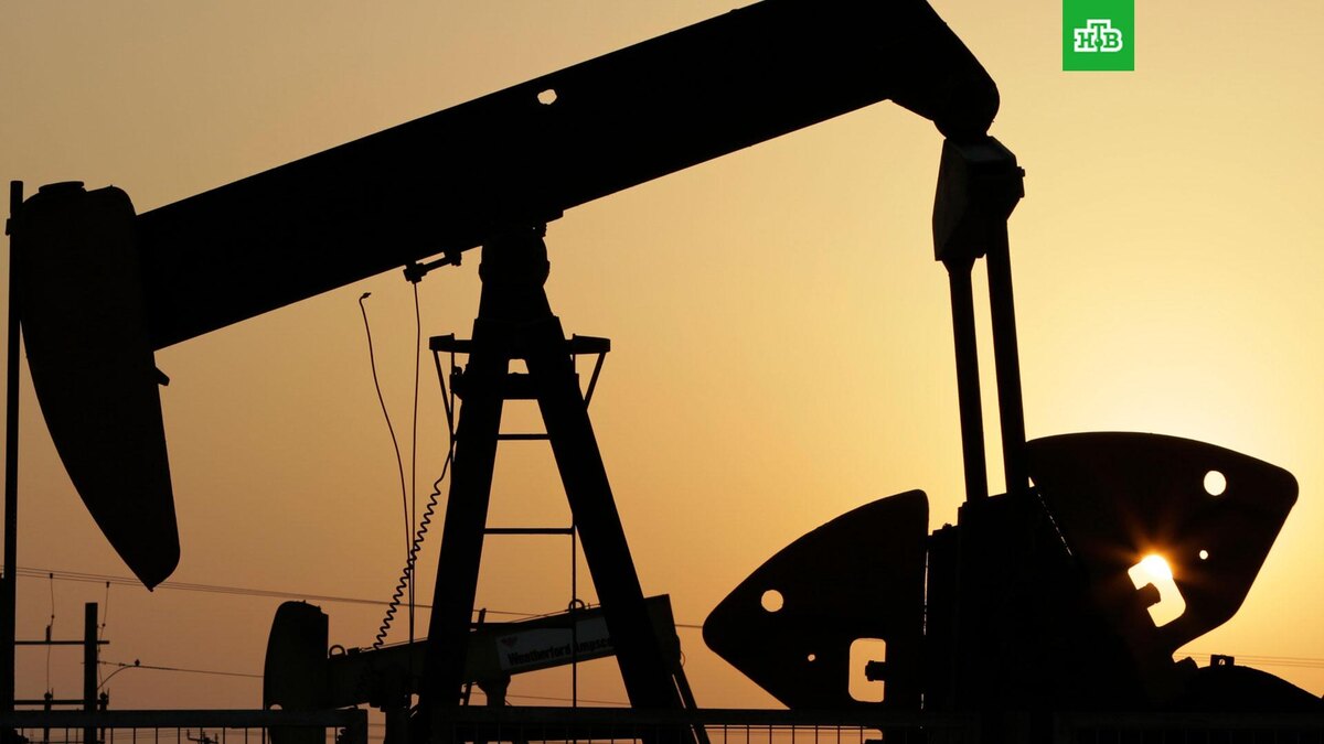    Фото: Associated Press © 2026, Hasan Jamali