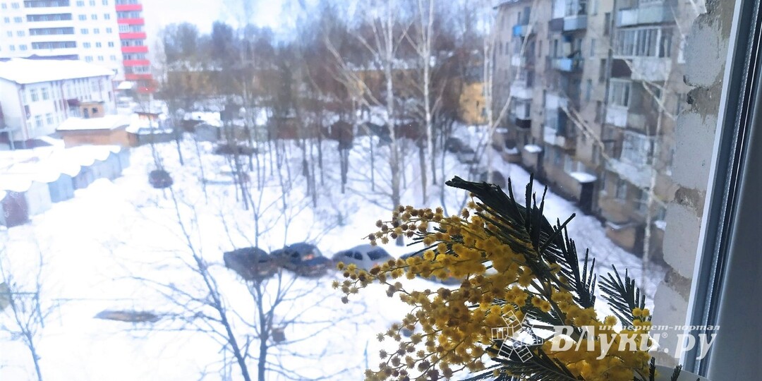 Прогноз погоды на 9 марта в Великих Луках