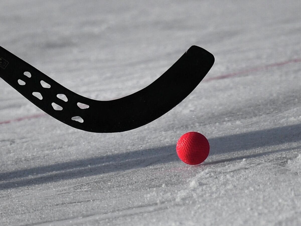    Хоккей с мячом | © РИА Новости / Алексей Филиппов