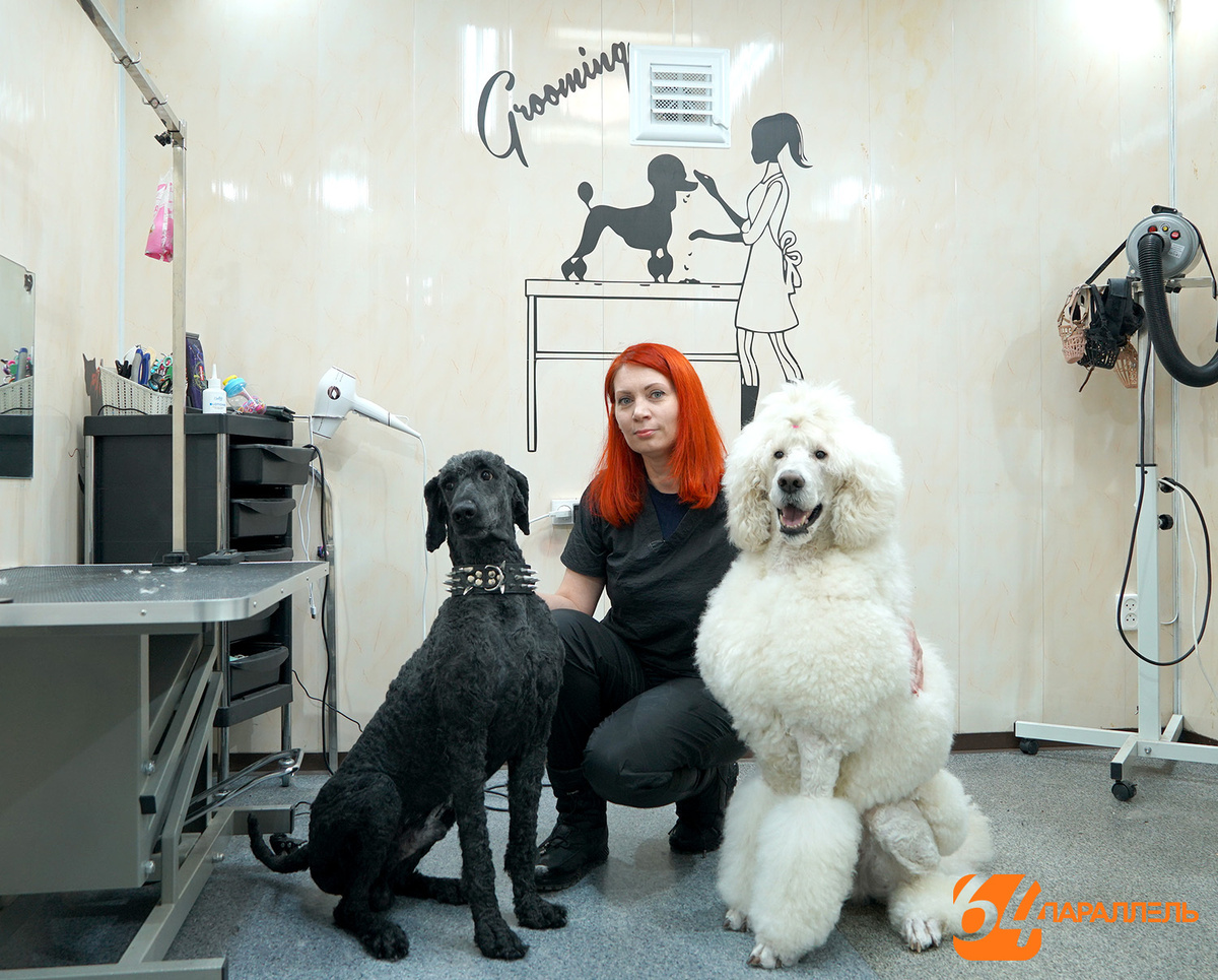    фото: © "64 Параллель"