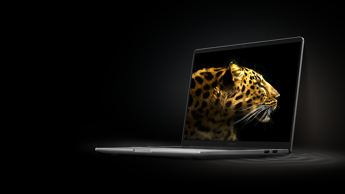    Xiaomi Book 14 (2024)