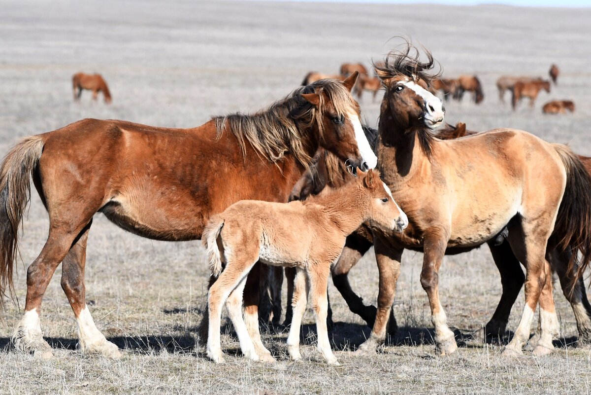    Фото: Александр Липкович / vk.com