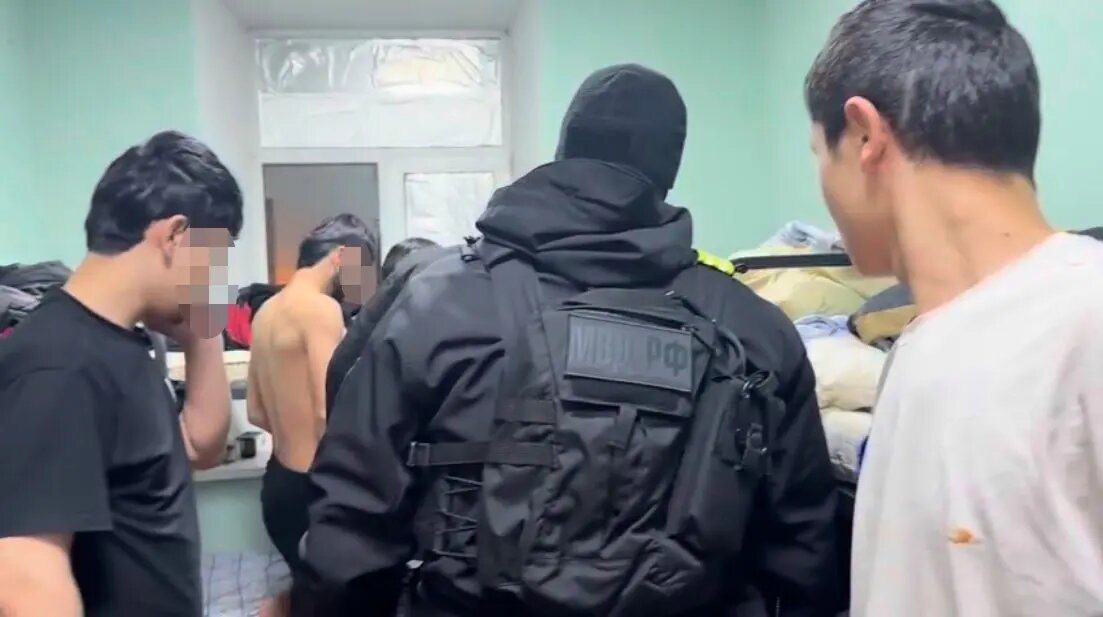    Фото: кадр видео ГУ МВД по Петербургу и Ленобласти