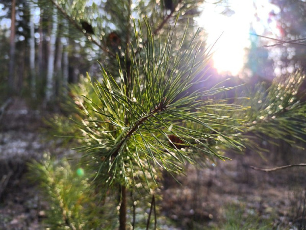 Народные приметы на 10 марта 2026 года: что нельзя делать в этот день