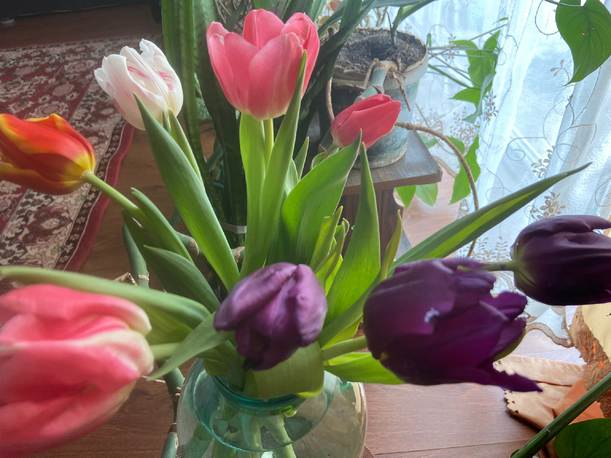 И нежный аромат тюльпанов.