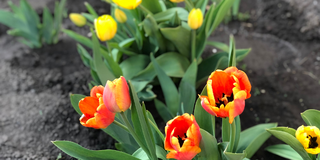 Пусть наш праздник не кончается