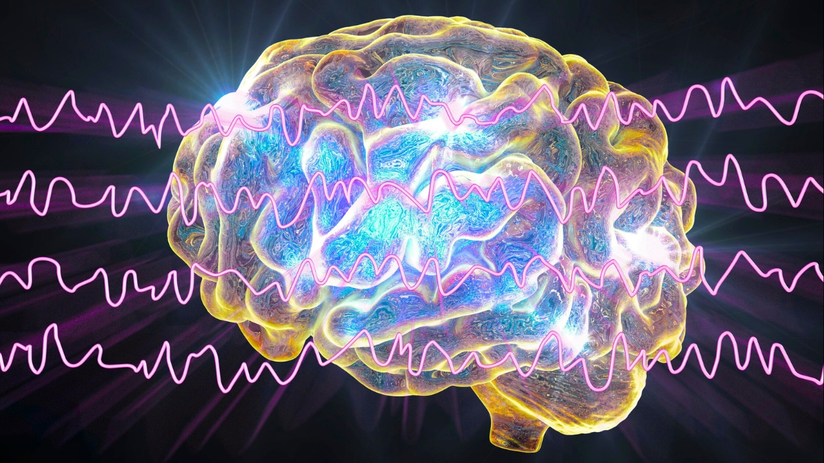 (Фотобанк Science Photo Library/Canva)
