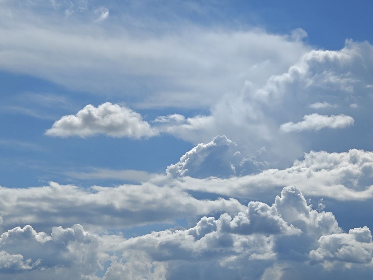    Фото: Юрий Серебренников/BFM Кубань