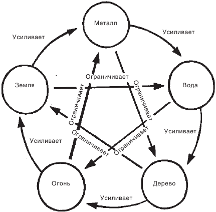 Цикл У-син для Металла Ян