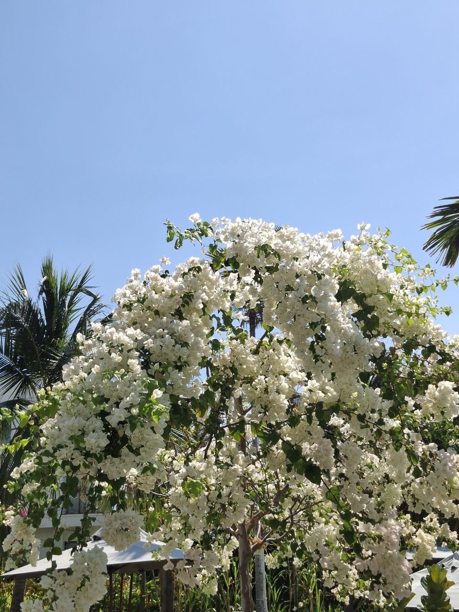 По дороге на завтрак