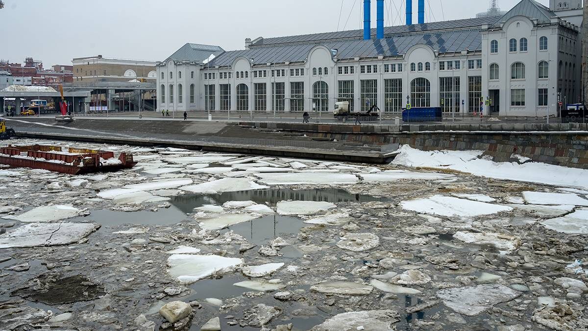    Фото: Дмитрий Дубинский / Вечерняя Москва