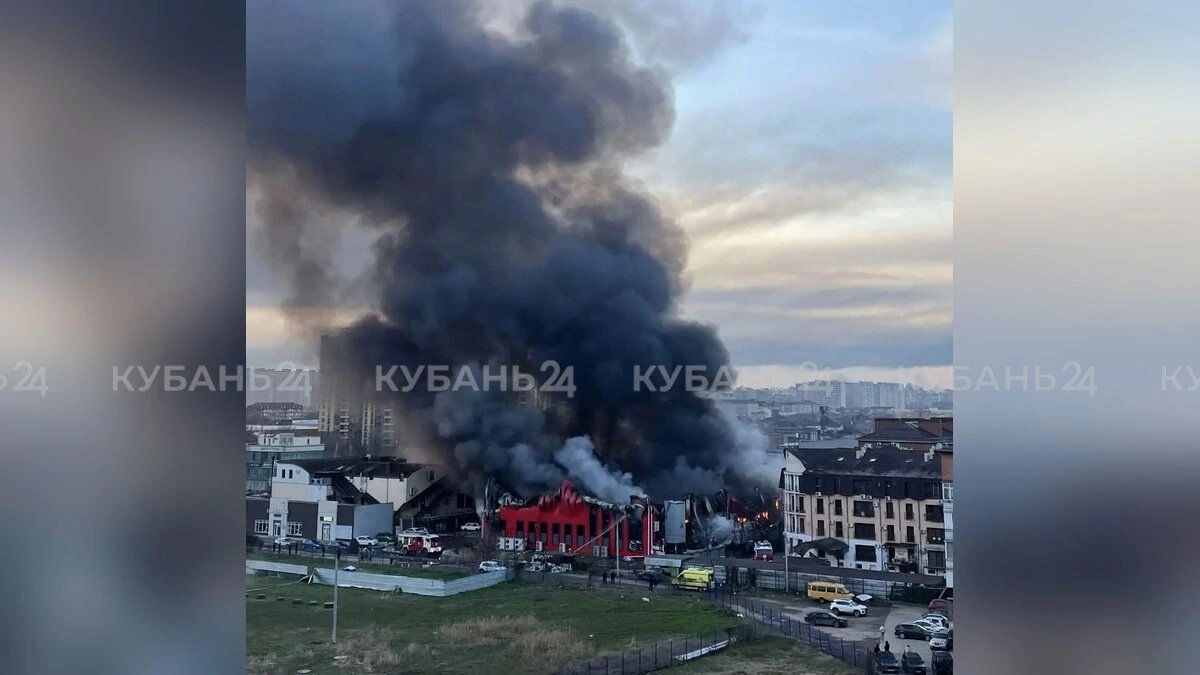    Фото «Кубань 24»