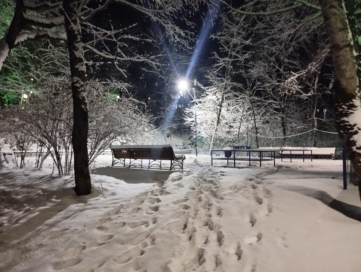 Фотокарточка мартовская 