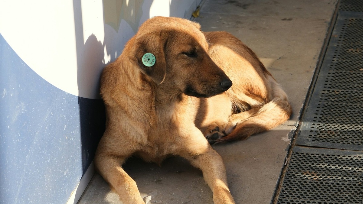    Фото несет иллюстративный характер