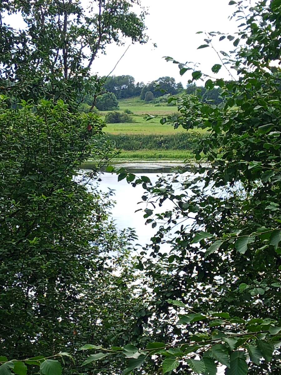 Река Волхов