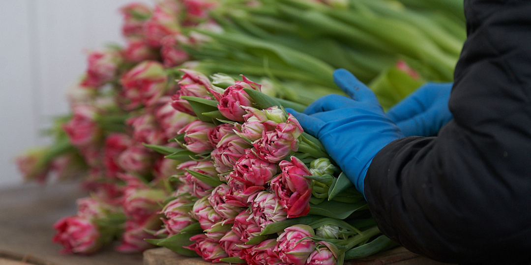 В Серове продавщица магазина заплатила 200 тысяч рублей за доставку цветов