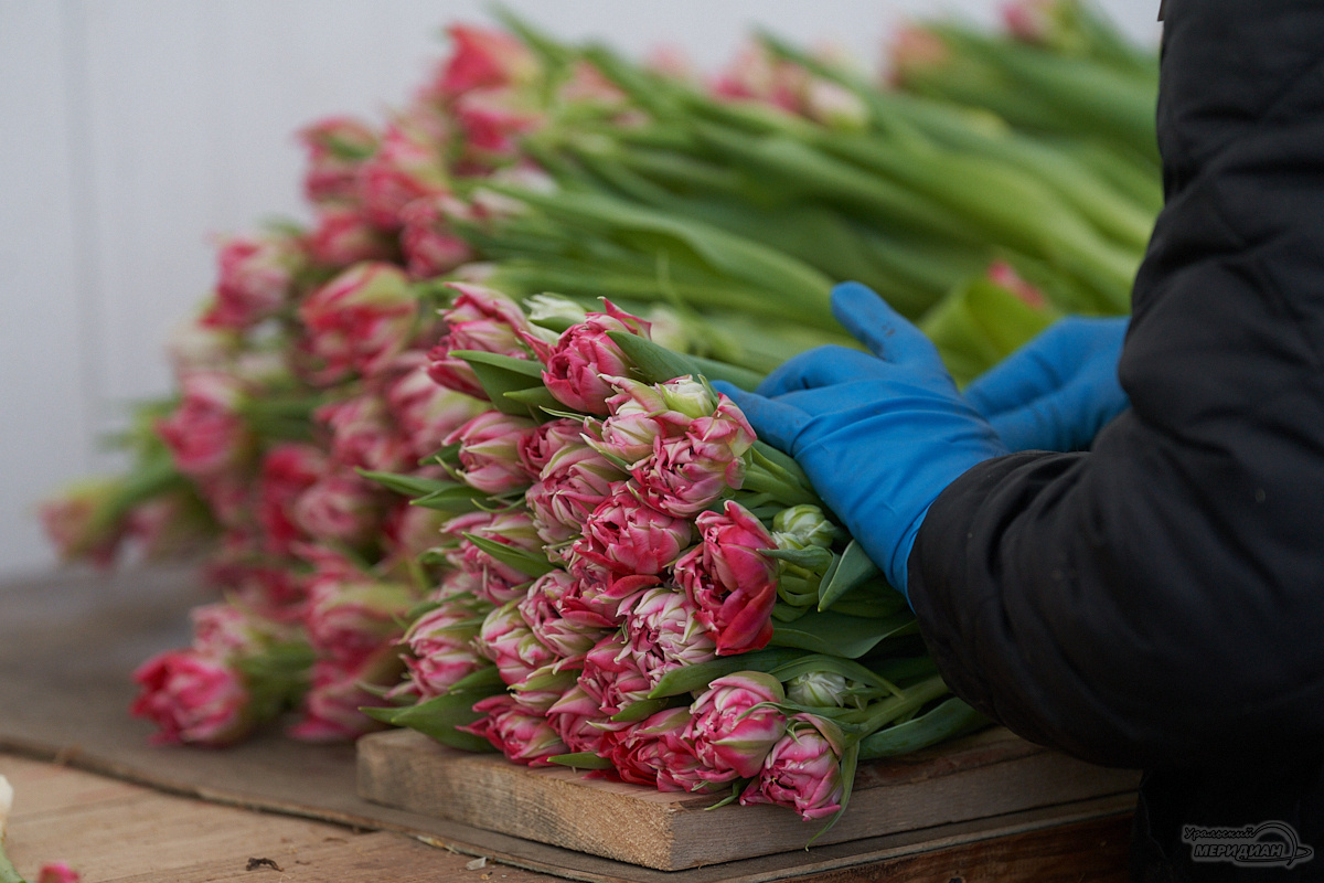    Фото: Лидия Аникина © ИА «Уральский меридиан»