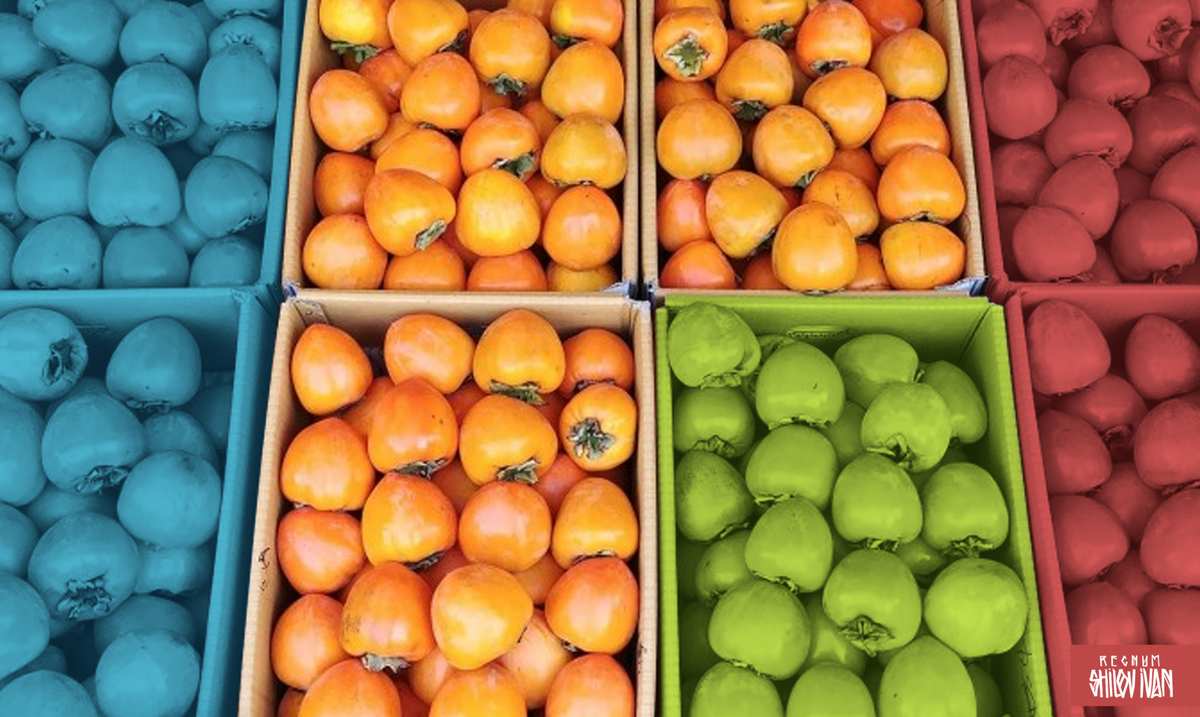     / Источник: Иван Шилов © ИА Регнум