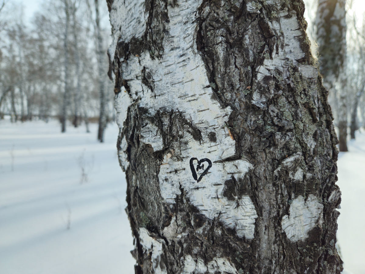 Фото: Марина Н. Макарова, Омск, 9март26.