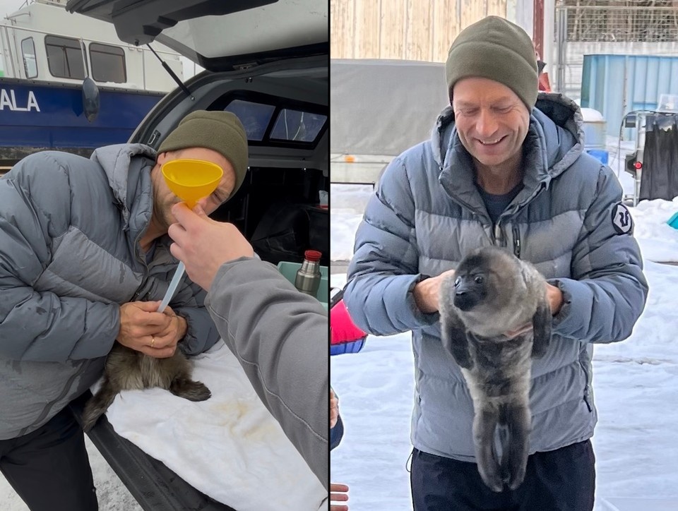    Малышку уже покормили. Фото: vk.com/sealrescue