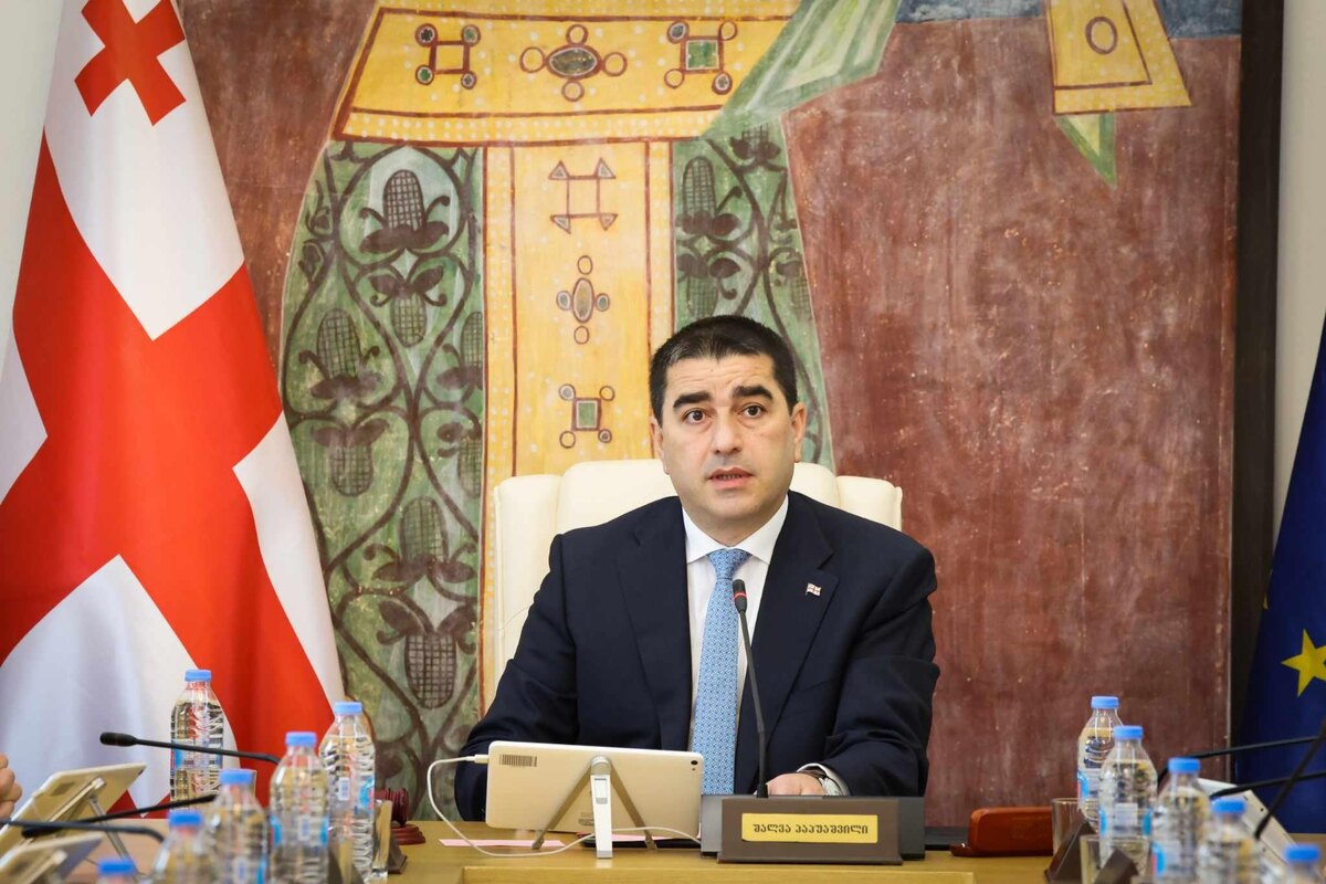 Шалва Папуашвили © Parliament of Georgia