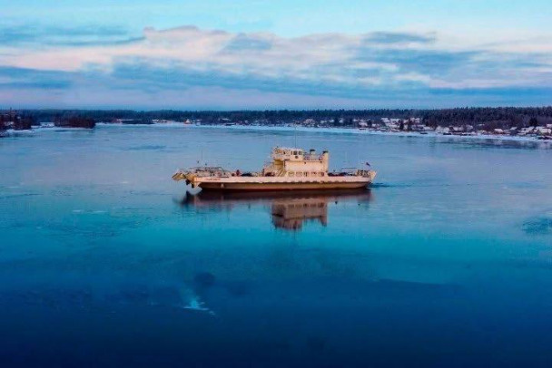    Фото: телеграм-канал "Админка Ленобласти"