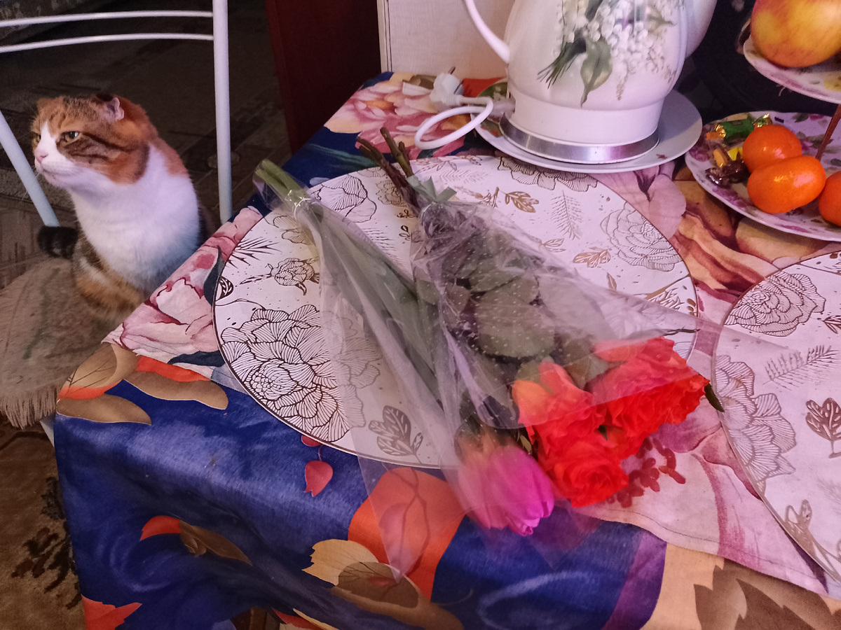 Фото автора