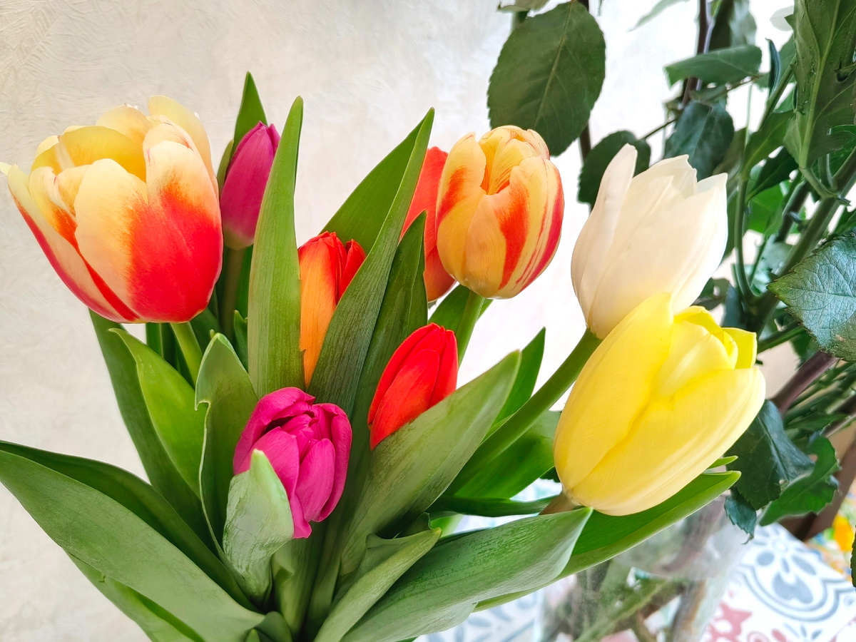 Символ 8 Марта. Букет от сына