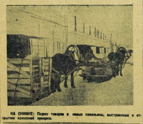 Первая краевая колхозная ярмарка