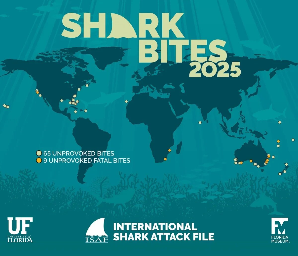    Карта нападений акул в 2025 году. Фото: ISAF
