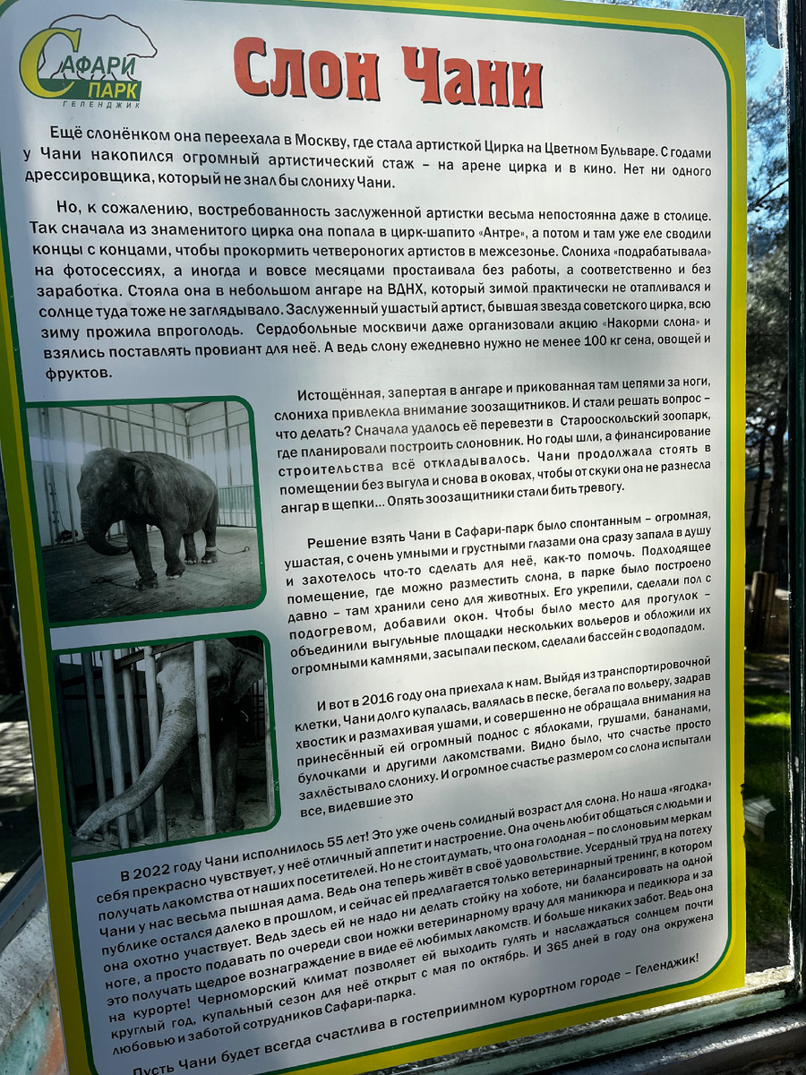 Фото автора.