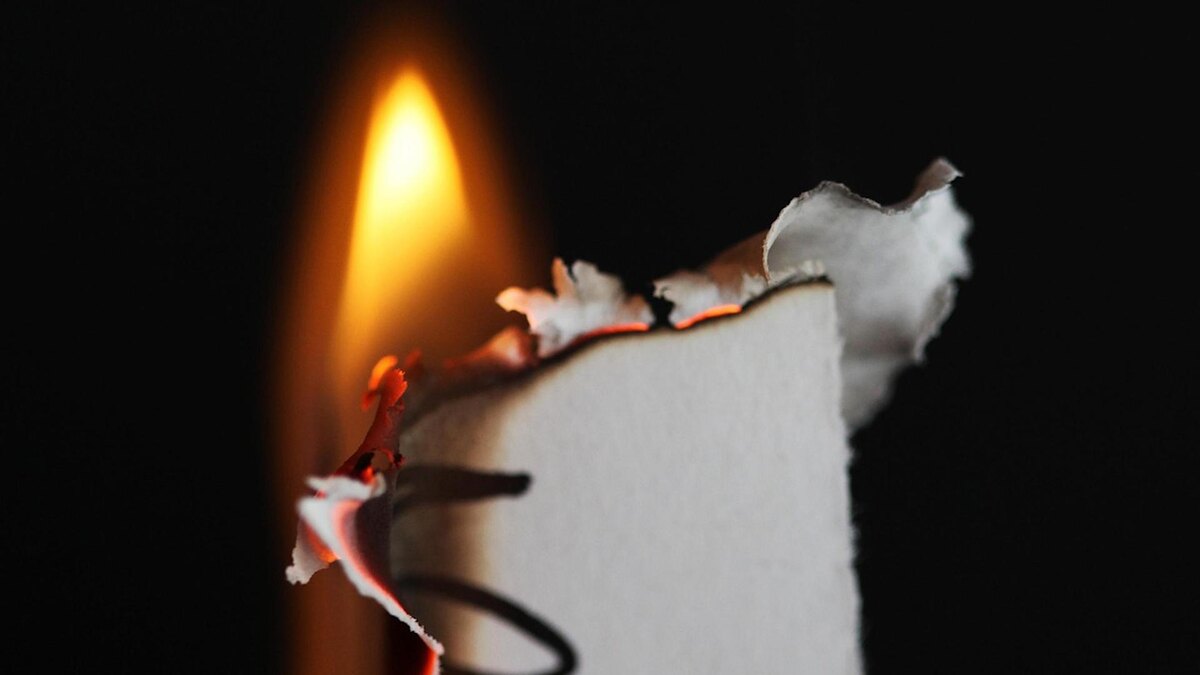    Фото: pixabay.com