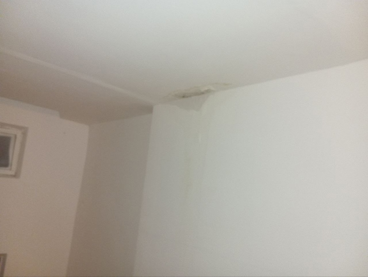    Фото: Моя Первомайка \ ВКонтакте