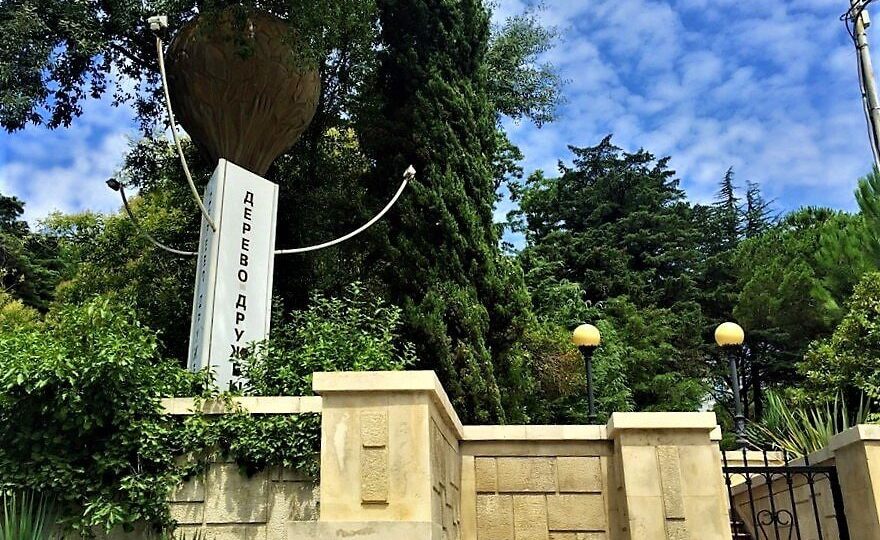 Дерево Дружбы в Сочи: История уникального сада-памятника