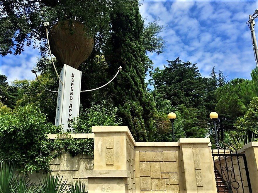 Дерево дружбы Сочи